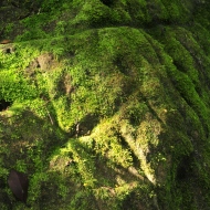 Sierra Nevada: An ancient map on a boulder in La Cuidad Perdida