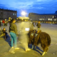 Plaza de Bolivar in Bogota, where you can have your photo taken with a lama.